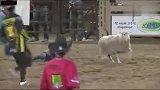 国外专门给小孩子举办的骑羊比赛，是不是挺有意思