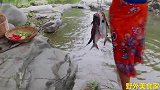 荒野大妈：用原始手艺在野外煮鱼，味道香辣可口，看的让人也想吃