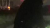 交警下班途中遇堵车，戴上警帽立刻上岗指挥交通