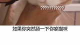 如果你舔猫咪一下，猫咪会有什么反应？猫咪的迷惑行为  爱宠治愈季