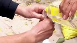 给大鹅喝完酒会怎么样？原来动物喝完酒也会醉