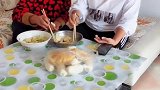 女子抠门不给老公钱买肉，结果自己馋哭了！