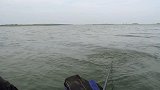 这样钓鱼太过瘾了，一不小心就上大鱼