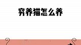 快速失去猫的小技巧，你学废了吗？
