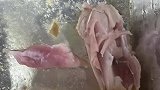 男子买炸鸡腿发现是生的，反馈后被补偿炸焦的