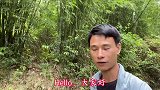 小伙进山拔野笋，发现一只四只脚的不明动物，看看你们认识吗