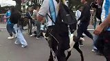 GOAT！球迷牵山羊去球场看梅西告别战
