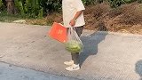 一定要看到最后