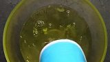 鸡蛋的特别做法，你学会了吗？