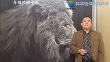 为了证明地球不是球，他们造了火箭，聊聊有趣的地平说