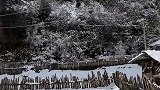 黄龙乡雪后的美景，真的是太有感觉了，眼前这一幕太美了！