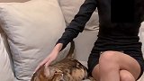 认识红红第四天剧情