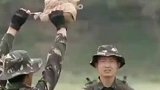 你慌了吗，兵哥哥硬核心理素质训练