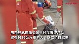 村里惊现72斤蟒蛇吞下村民的羊，还挑衅攻击，消防到场当场拿下
