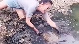 美女在河里，发现一只巨型甲鱼，这下发财了