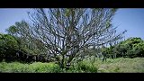 在这种荒山野岭的地方，黄渤靠卖鱼，扳回了一局