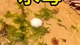 小孩子去赶海，抓到一个水母