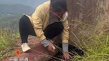 水中捞出奄奄一息的老鹰，用三个小时为其取暖救活