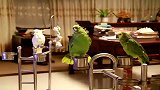 好家伙，这都开起来演唱会了！