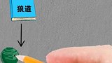 狮子怎么管理狼群？太经典了，值得我们看一看 企业管理  狼道
