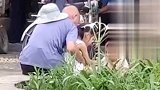 广西一老头疑当街将手伸进女童裙子 遭路人质问淡定离去