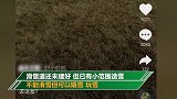 滑雪场开业没有雪？回应：有小范围造雪 只是还不能滑