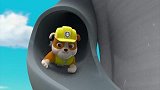 汪汪队立大功：猪圈被撞出缺口，猪都跑了出去，农场赶紧找汪汪队