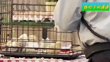 国外恶搞：被惊吓之后把手里的小鸡捏扁了，旁边美女被吓坏了