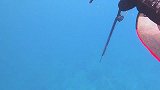 全程无剪辑，实拍25米见底大蓝水，海底赶海捕鱼！