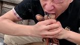 船长一口闷4个八爪鱼，烫秃噜皮