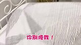 挑战女朋友的忍耐极限！真男人都该这么试一试！