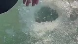 带着家伙事过来凿冰钓鱼了