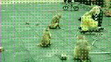 猴子急眼了。