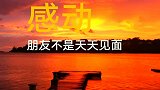 真正的朋友：淡淡交，慢慢处