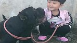 恶霸犬见到女儿竟这副德行，不是叫恶霸嘛，小眼神害怕啥