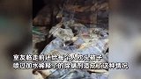 大学生暑假返校开门后瞬间傻眼：整个宿舍都是霉味，被褥无一幸免