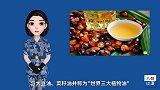 能把地沟油赶出市场的低调世界油王：棕榈油！