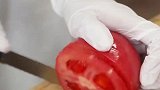 早餐打卡！能量满满的一天从三明治开始