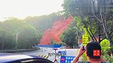 广东农村一老师傅开挖机，真是技高人胆大！