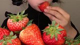 现在能吃得起草莓的都不是一般人