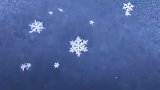 动画片诚不欺我啊，原来雪花真的是一片一片的，形状好美