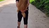 妹子狗子一生气，后果很严重