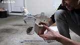 老鼠到底能钻进多小的洞？一老外做实验，得到了意外的结果