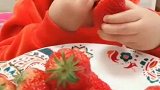 小宝宝吃草莓，吃着吃着愣住了，你是有什么新发现吗