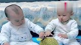 宝宝总是乱摸东西，爸爸无奈使出这招，可把双胞胎坑惨了