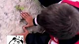 小朋友给壁虎做心肺复苏，网友：手法一看就是学过的