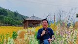真美！湖南衡阳县船山故居夫之河畔七彩油菜花迎来最佳观赏季