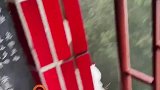 游客抓拍到白鹇在山谷飞翔，宛若仙境神鸟“白凤凰”