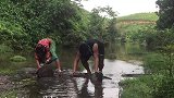 美女小河沟抓鱼，野人来把鱼拿走，男子出现野人扔鱼就跑！