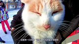 流浪猫到消防站求收养，将它送走时，它抓了一只老鼠“证明”自己